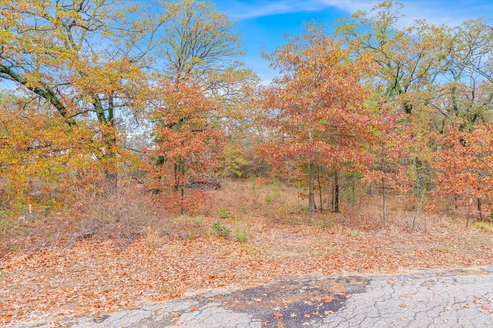 1 Acre of Residential Land for Sale in Alba, Texas