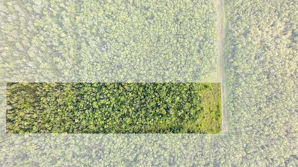 3.22 Acres of Residential Land for Sale in Mountain View, Hawaii