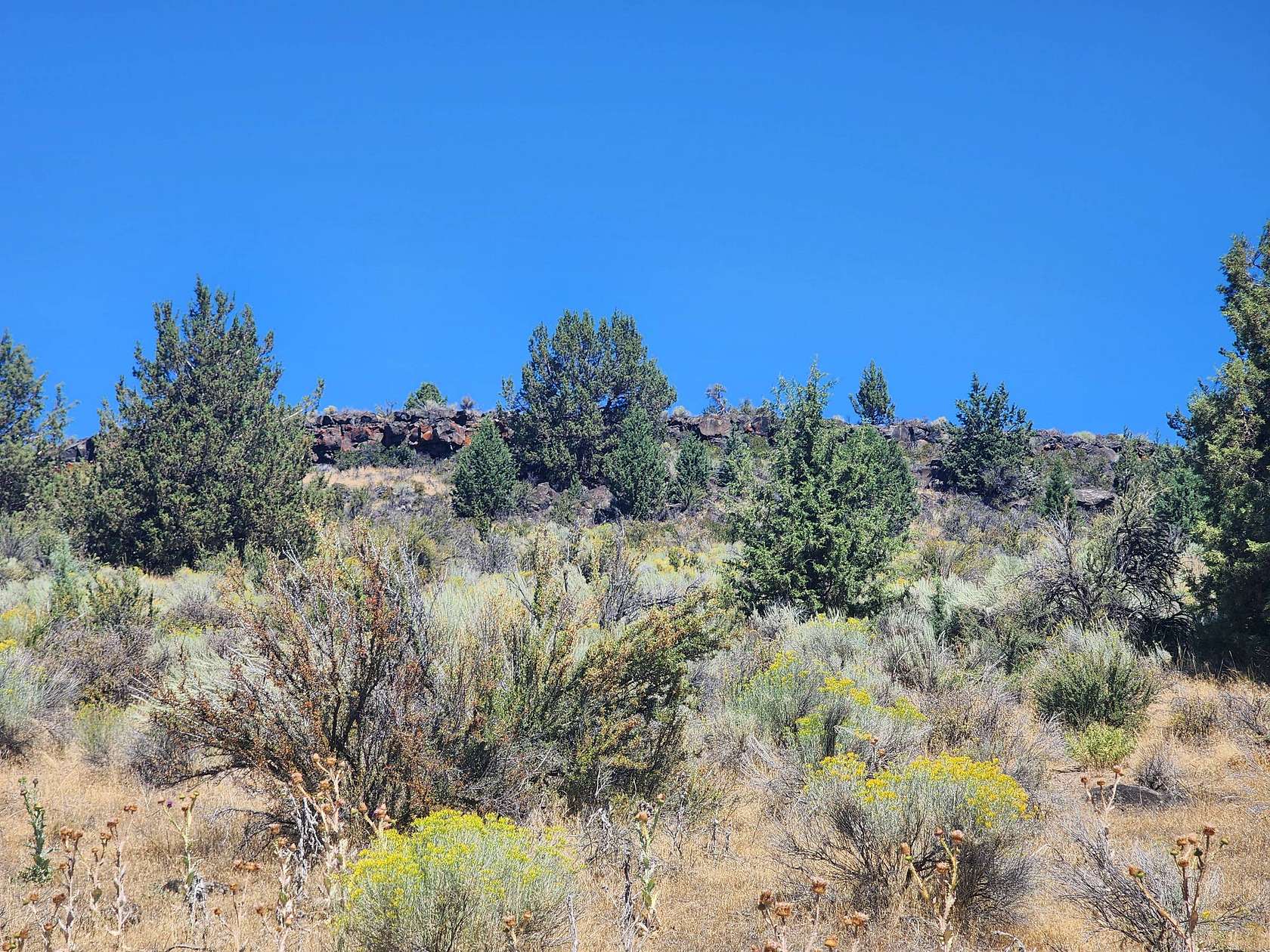 3 Acres of Residential Land for Sale in Chiloquin, Oregon