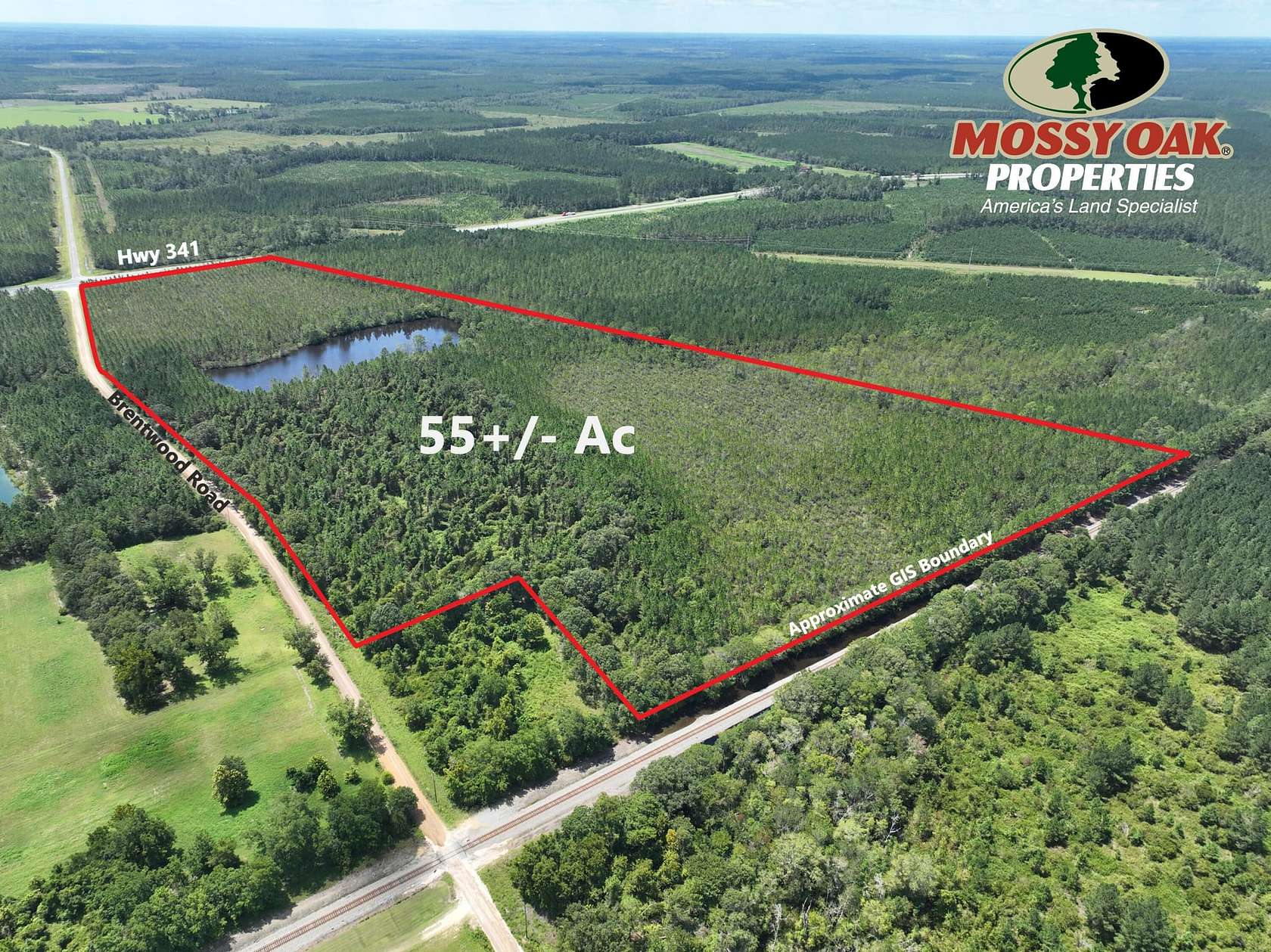 55 Acres of Recreational Land for Sale in Jesup, Georgia