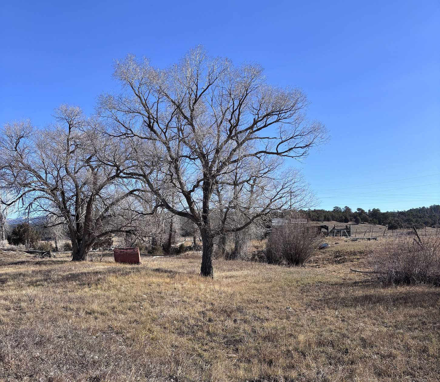 3.24 Acres of Agricultural Land for Sale in Cebolla, New Mexico
