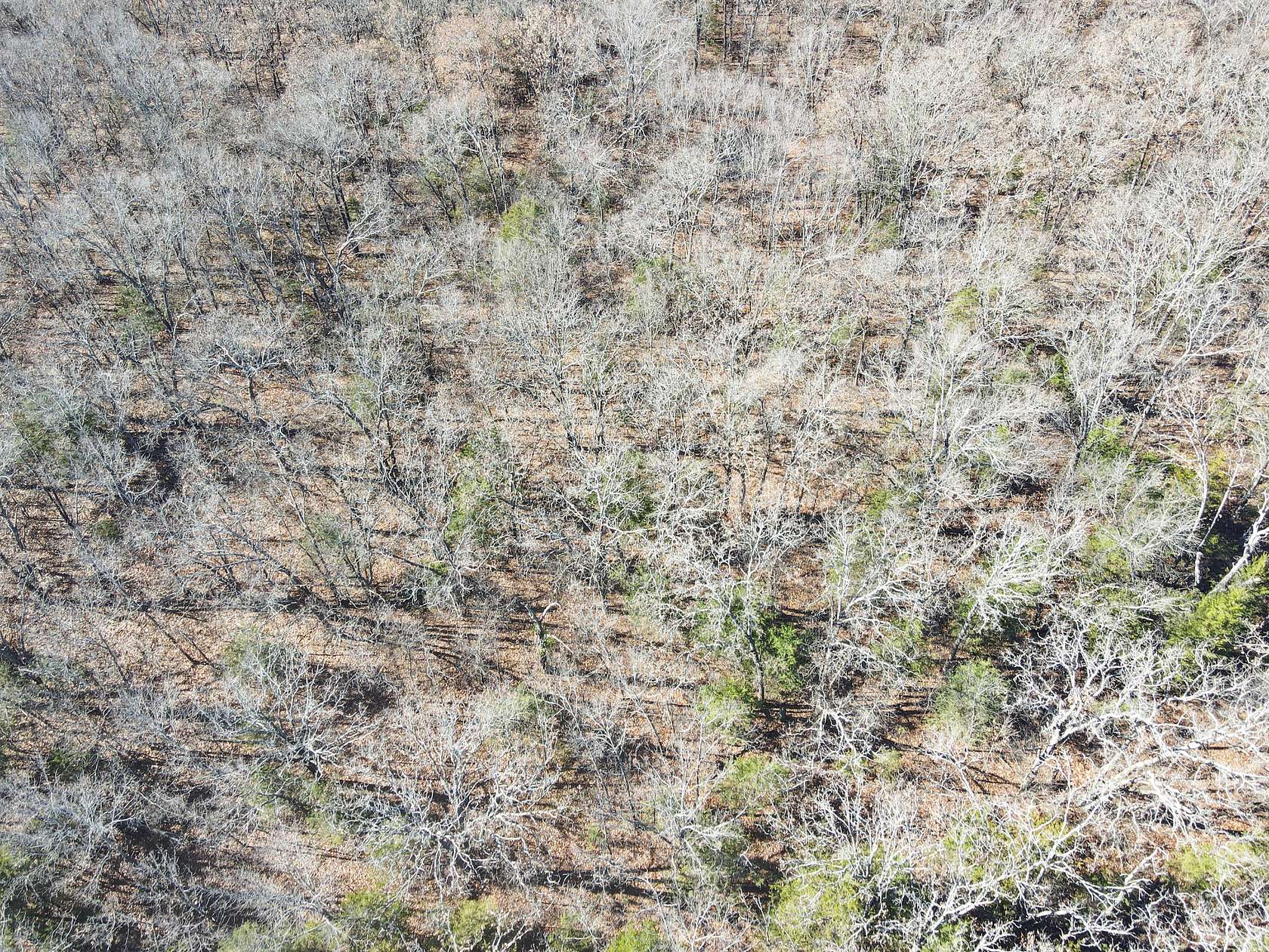 9.7 Acres of Land for Sale in Collins, Missouri