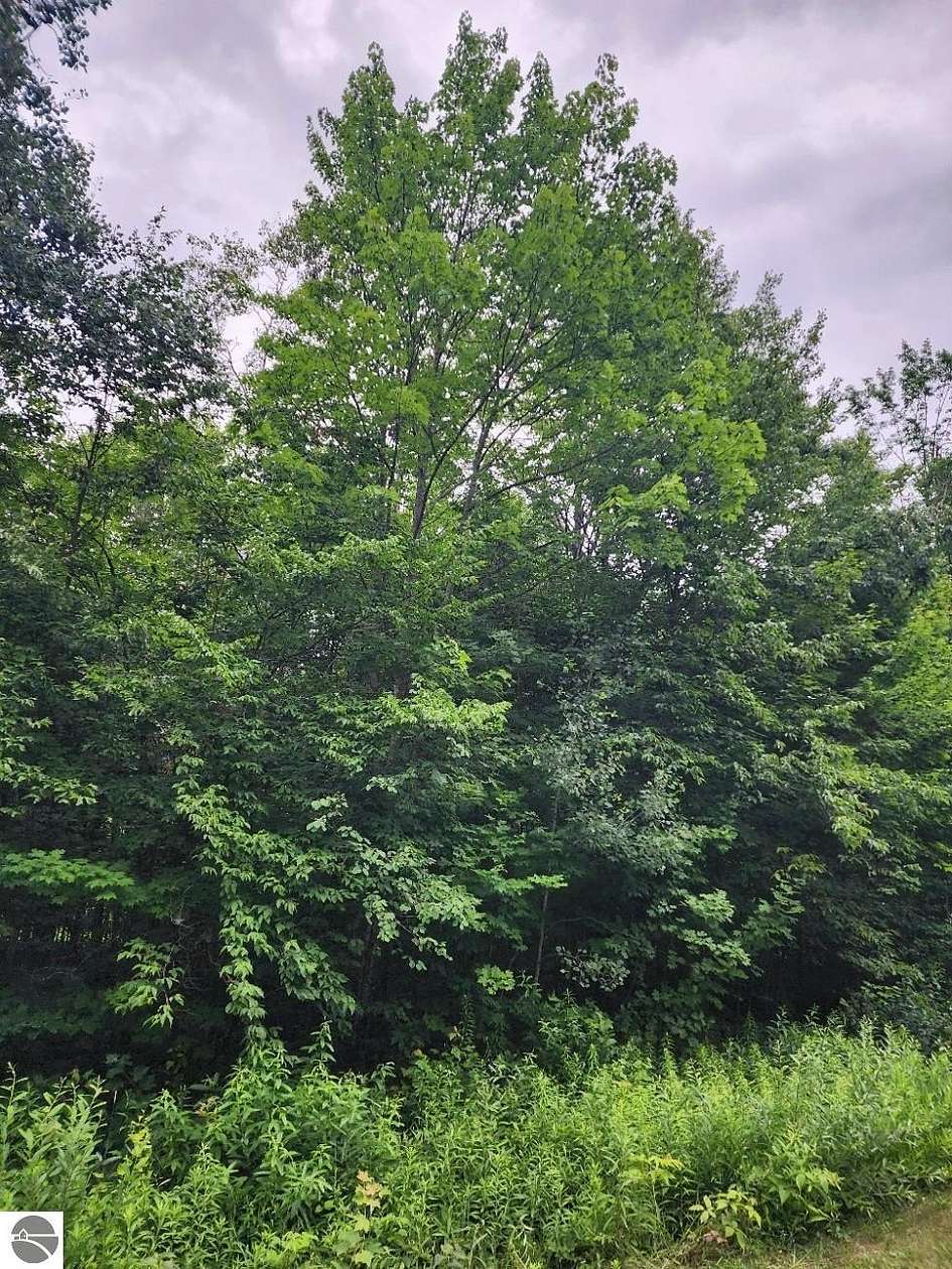 0.58 Acres of Land for Sale in Elmira, Michigan