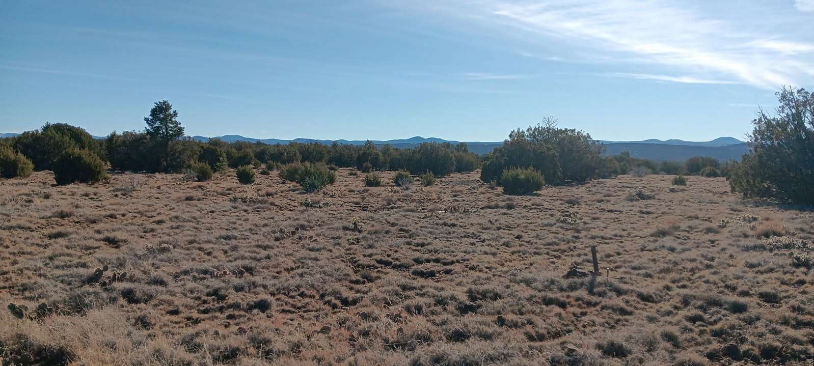 1.27 Acres of Residential Land for Sale in Concho, Arizona