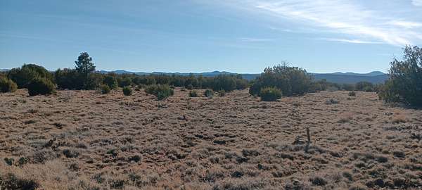 1.27 Acres of Residential Land for Sale in Concho, Arizona