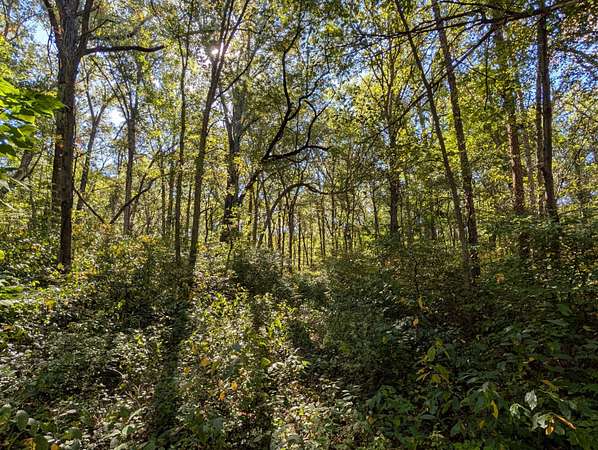 0.78 Acres of Land for Sale in Schneider, Indiana