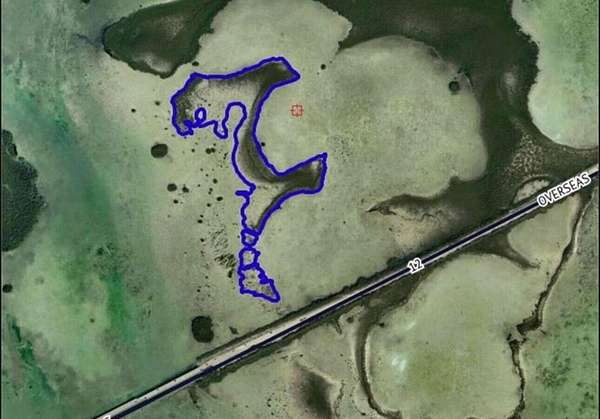 30.8 Acres of Recreational Land for Sale in Saddlebunch Keys, Florida