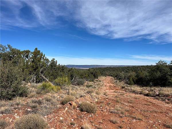 39.3 Acres of Recreational Land for Sale in Seligman, Arizona