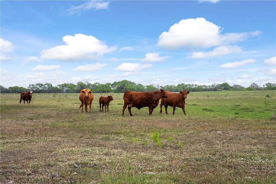 30 Acres of Improved Land for Sale in Kingsville, Texas