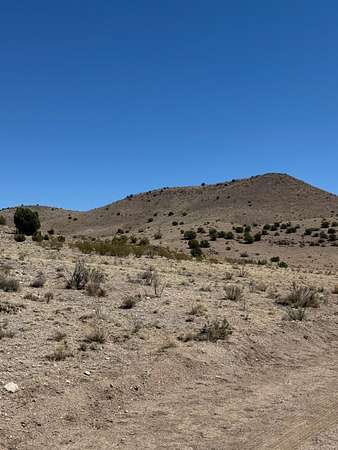159 Acres of Agricultural Land for Sale in San Antonio, New Mexico
