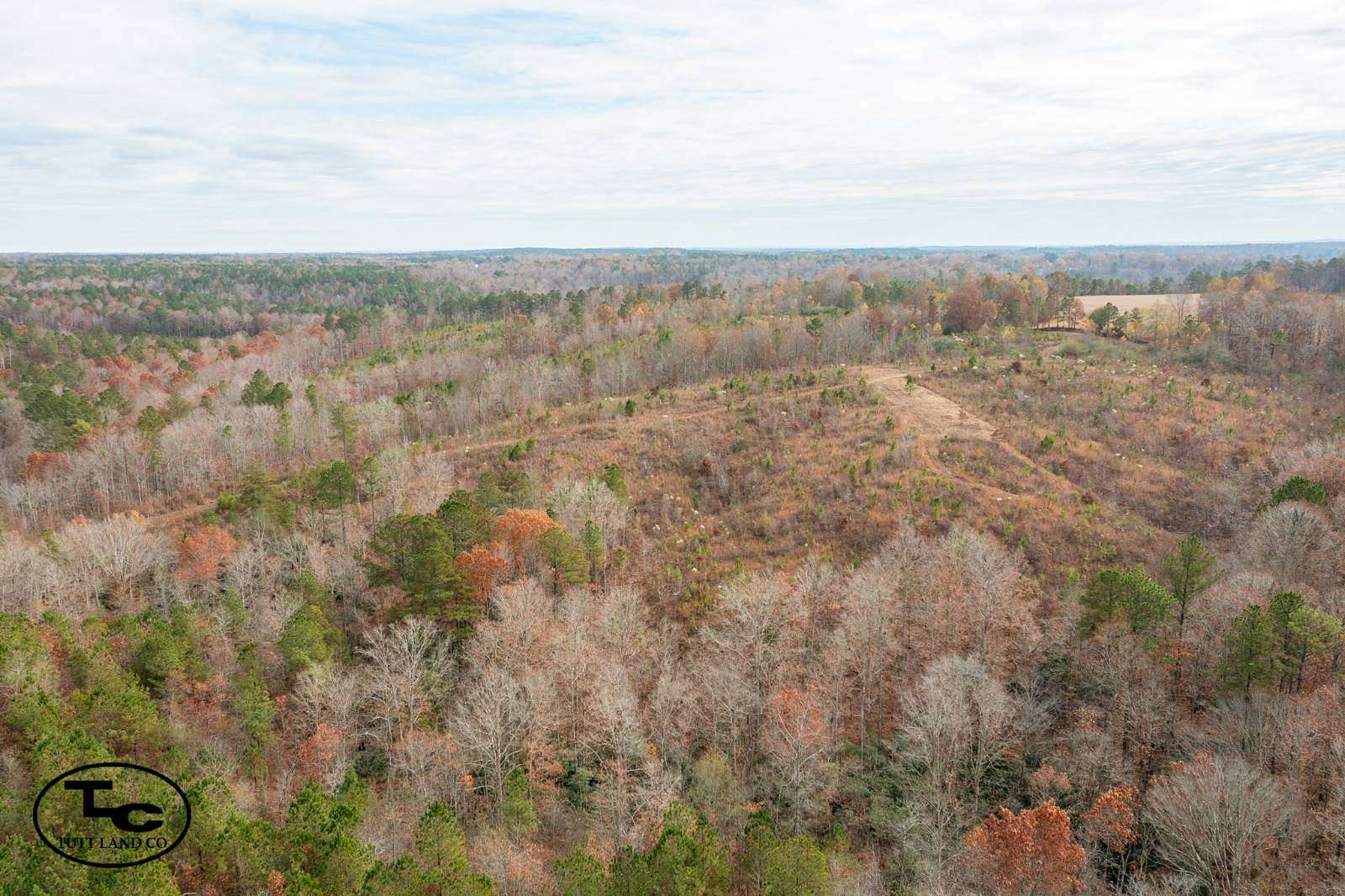 243 Acres of Recreational Land for Sale in Jasper, Alabama