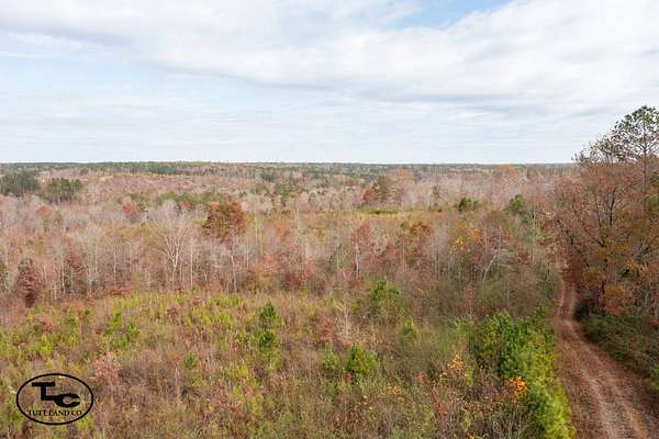 141 Acres of Recreational Land for Sale in Jasper, Alabama