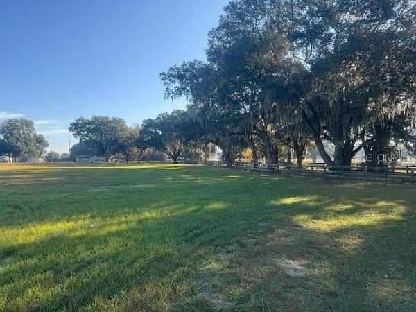 40 Acres of Land for Sale in Ocala, Florida