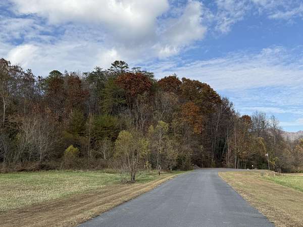 1.87 Acres of Residential Land for Sale in Del Rio, Tennessee