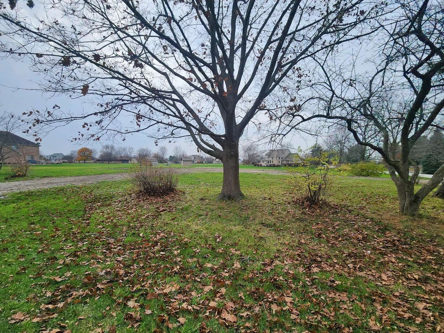 0.81 Acres of Residential Land for Sale in Crete, Illinois