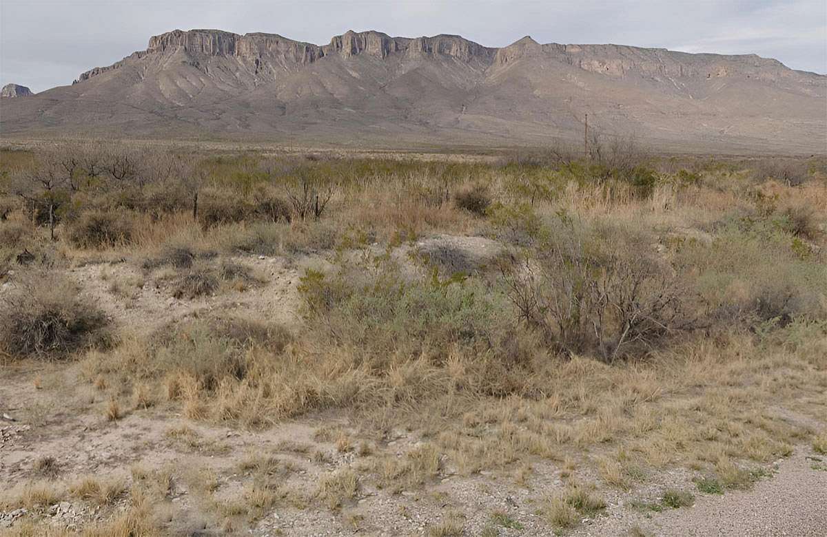20 Acres of Land for Sale in El Paso, Texas