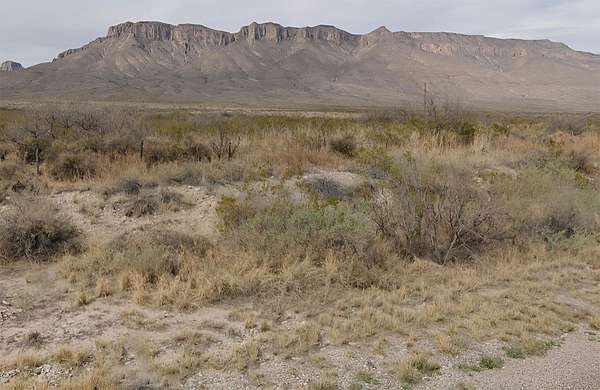 20 Acres of Land for Sale in El Paso, Texas