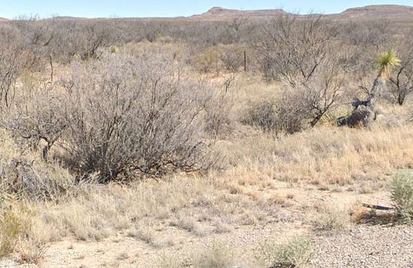 20 Acres of Land for Sale in El Paso, Texas