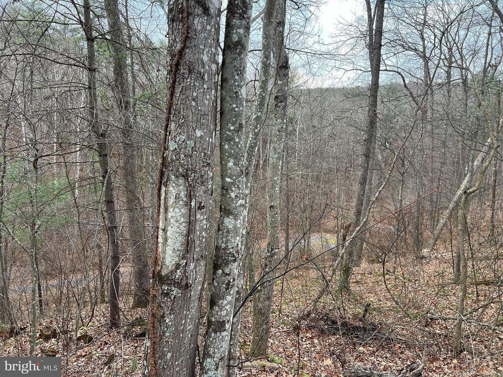 0.53 Acres of Land for Sale in Mount Jackson, Virginia
