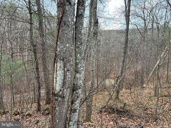 0.53 Acres of Land for Sale in Mount Jackson, Virginia