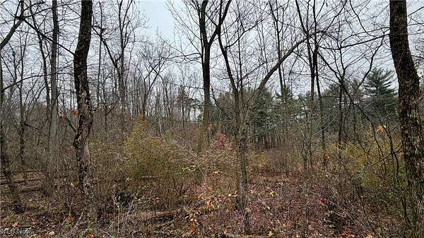 6.89 Acres of Land for Auction in Minerva, Ohio