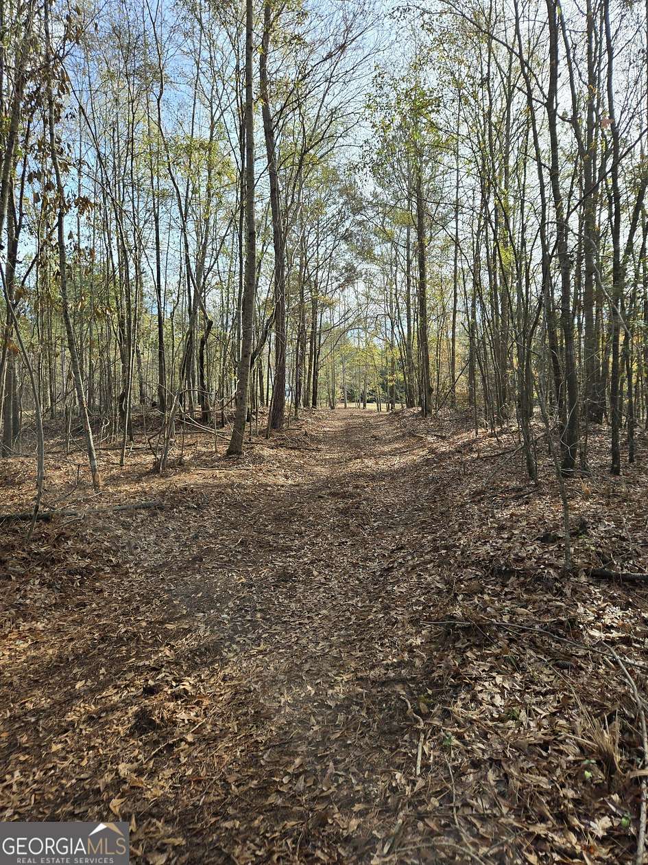 8.75 Acres of Residential Land for Sale in Barnesville, Georgia