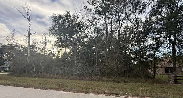 1.29 Acres of Residential Land for Sale in Lumberton, Texas