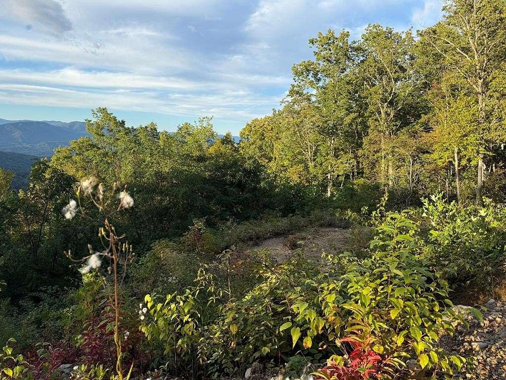 8.22 Acres of Residential Land for Sale in Whittier, North Carolina