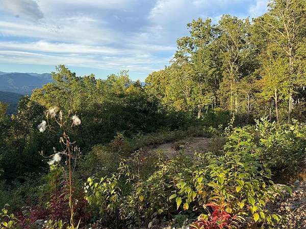 8.22 Acres of Residential Land for Sale in Whittier, North Carolina