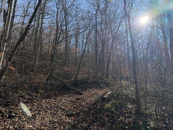 29.9 Acres of Recreational Land for Sale in Monticello, Kentucky