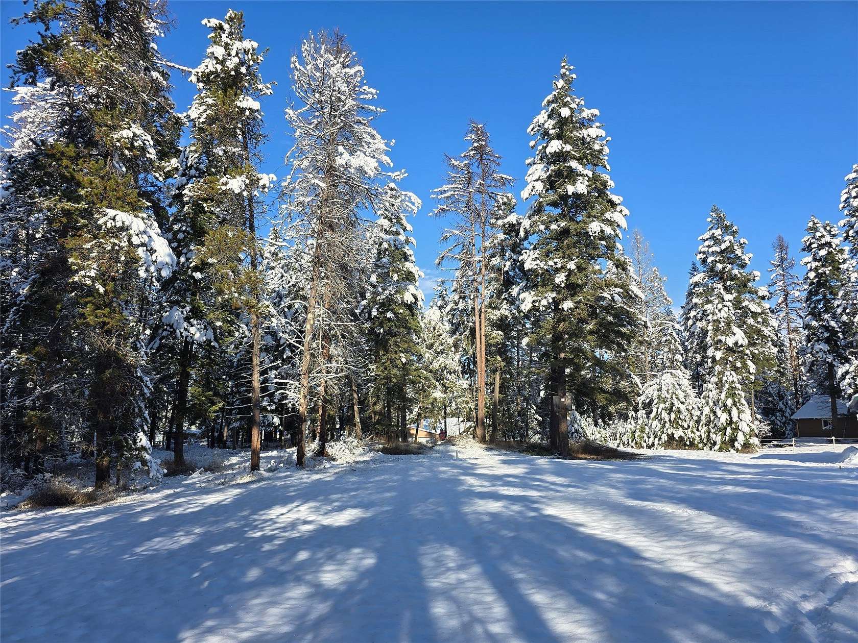 1.14 Acres of Residential Land for Sale in Whitefish, Montana