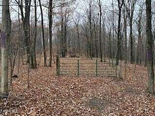 102 Acres of Recreational & Residential Land for Sale in Coaldale, Pennsylvania