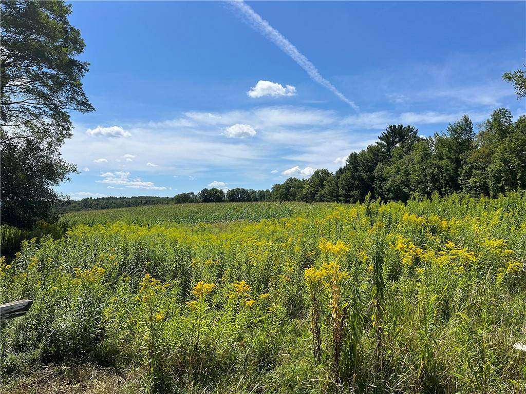 20.3 Acres of Land for Sale in Maryland, New York
