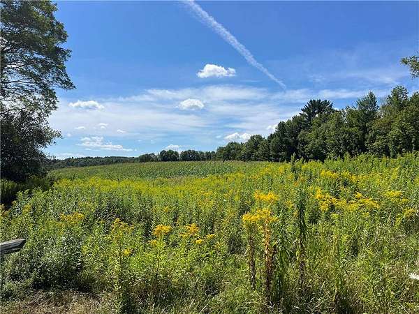 20.3 Acres of Land for Sale in Maryland, New York