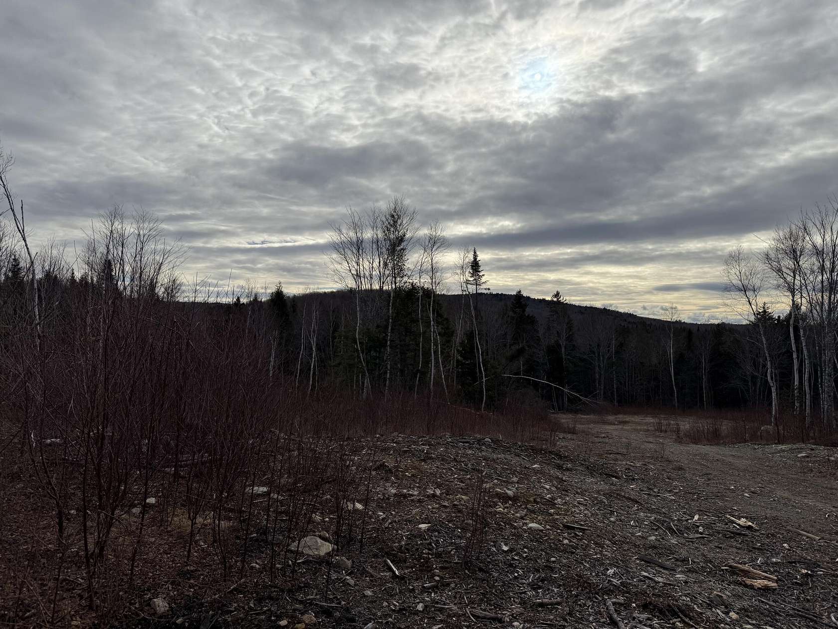 37 Acres of Land for Sale in Springfield, Maine