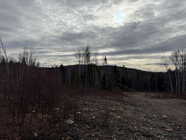 37 Acres of Land for Sale in Springfield, Maine