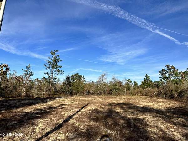 1.37 Acres of Residential Land for Sale in Alford, Florida