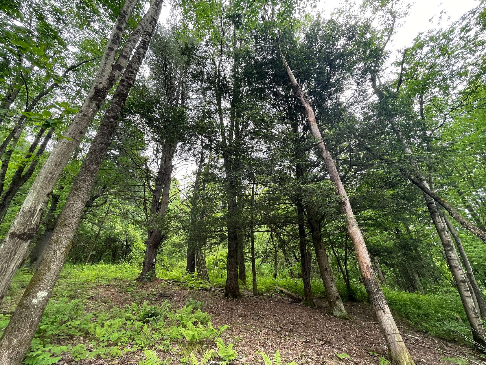 0.97 Acres of Residential Land for Sale in Cherry Valley, New York