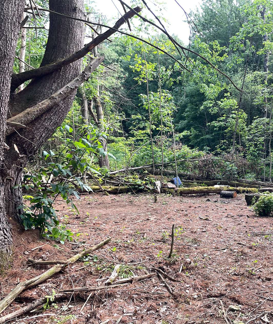 0.97 Acres of Residential Land for Sale in Cherry Valley, New York