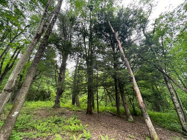 0.97 Acres of Residential Land for Sale in Cherry Valley, New York