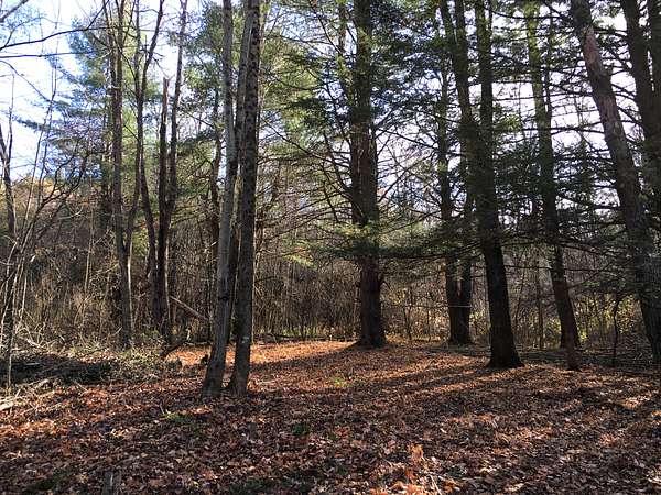 0.97 Acres of Residential Land for Sale in Cherry Valley, New York
