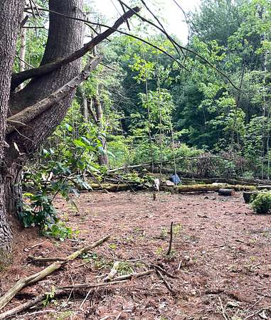0.97 Acres of Residential Land for Sale in Cherry Valley, New York