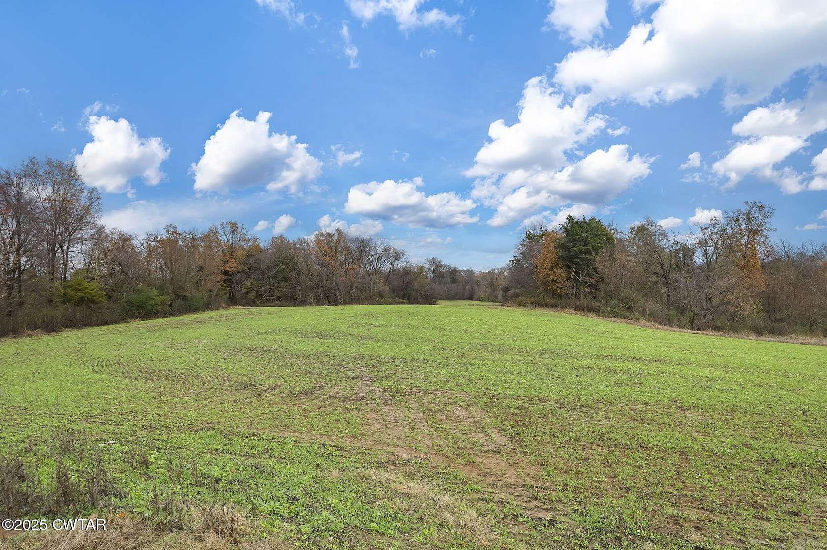 14.8 Acres of Land for Sale in Trenton, Tennessee