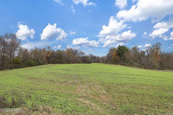 14.8 Acres of Land for Sale in Trenton, Tennessee