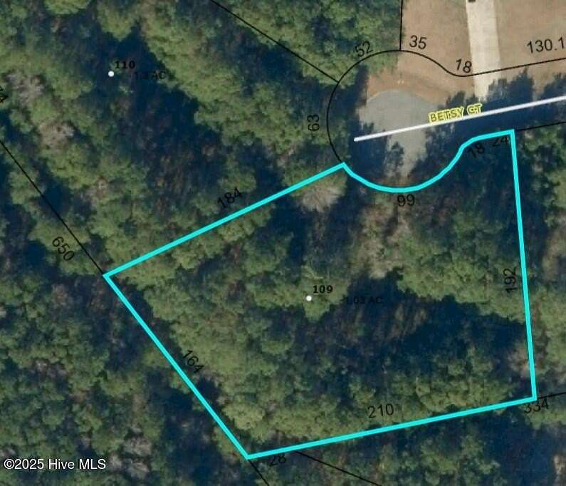 1 Acre of Residential Land for Sale in Grandy, North Carolina