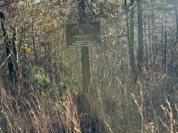 20.5 Acres of Recreational Land for Sale in Ozark Township, Arkansas