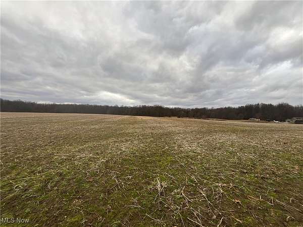 101 Acres of Land for Sale in Diamond, Ohio