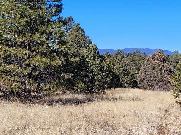 3.1 Acres of Residential Land for Sale in Pecos, New Mexico