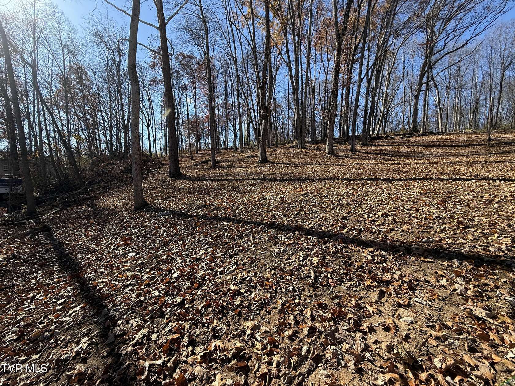 3 Acres of Residential Land for Sale in Johnson City, Tennessee