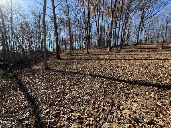 3 Acres of Residential Land for Sale in Johnson City, Tennessee